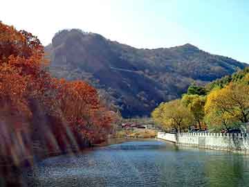 山東單縣房?jī)r(jià)最新動(dòng)態(tài)，科技重塑居住夢(mèng)想，未來(lái)生活觸手可及